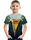 baratos Camisetas Para Meninos-Infantil Para Meninos Camisa Animal Escola Impressão 3D Manga Curta Ativo 3-12 anos Verão Arco-íris