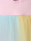 preiswerte Kleider für Mädchen-Kinder Wenig Kleid Mädchen Regenbogen Patchwork Täglich Tüll-Kleid Pailletten Rosa Tüll Ärmellos Grundlegend nette Art Kleider Frühling Sommer 3-12 Jahre