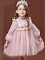 cheap Girls&#039; Dresses-Kids Little Girls&#039; Dress Flower Embroidered Lace Trims Blushing Pink Light Green Knee-length Tulle Long Sleeve Mint color Sweet Dresses Spring &amp;  Fall New Year Regular Fit 3-13 Years