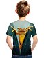 baratos Camisetas Para Meninos-Infantil Para Meninos Camisa Animal Escola Impressão 3D Manga Curta Ativo 3-12 anos Verão Arco-íris