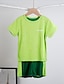 preiswerte Kleidersets für Jungen-Kinder Jungen T-Shirt &amp; Shorts T-Shirt-Set Trainingsanzüge Kurzarm 2 Stück Grün Blau Grau Bedruckt Einfarbig Strassenmode 3-13 Jahre