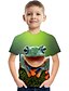billige T-skjorter og skjorter til gutter-Barn Gutt T skjorte T-skjorte Kortermet Regnbue 3D-utskrift Grafisk Dyr Aktiv 3-12 år / Sommer