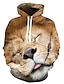 billige Hoodies-Herre Grafisk Løve Genser med hette for genser 3D-utskrift Daglig Helg Fritid Gensere Gensere 1# 2# Regnbue