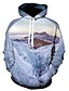 cheap Hoodies-Men&#039;s Plus Size Pullover Hoodie Sweatshirt Graphic Hooded Daily Going out 3D Print Casual Hoodies Sweatshirts  Long Sleeve Blue Purple Grey