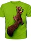 billige T-shirts og tanktops til mænd-Herre T-shirt T-Shirts Rund hals Grafisk Dyr Egern Grøn Hvid Blå Gul Rød 3D-udskrivning Kortærmet Trykt mønster Daglig Ferie Toppe Basale Gade overdrevet Designer