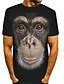 economico T-shirt e canotte da uomo-Per uomo Camicia maglietta Magliette Pop art Animali Orangutan Rotonda Nero Rosa Marrone Stampa 3D Feste Strada Manica corta Stampa Abbigliamento Moderno Divertente Comodo Grande e alto