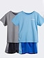 preiswerte Kleidersets für Jungen-Kinder Jungen T-Shirt &amp; Shorts T-Shirt-Set Trainingsanzüge Kurzarm 2 Stück Grün Blau Grau Bedruckt Einfarbig Strassenmode 3-13 Jahre