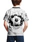 billige T-skjorter og skjorter til gutter-Gutt 3D Fotball T skjorte Kortermet 3D-utskrift Sommer Aktiv Gatemote Polyester Barn 3-12 år utendørs Daglig