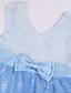 preiswerte Kleider für Mädchen-Kinder Wenig Kleid Mädchen Einfarbig Party Schleife Bedruckt Blau Rosa Gelb Übers Knie Ärmellos Prinzessin Kleider Schlank 3-10 Jahre