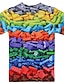 abordables T-shirts et chemises pour garçons-Garçon 3D Bloc de couleur à imprimé arc-en-ciel 3D Print T-shirt Manche Courte 3D effet Eté Sportif Vêtement de rue basique Polyester Enfants 3-12 ans Extérieur du quotidien