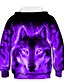 cheap Boys&#039; Hoodies &amp; Sweatshirts-Kids Toddler Boys&#039; Hoodie &amp; Sweatshirt Long Sleeve 3D Print Galaxy Wolf Animal Color Block Print Light Blue Blue Purple Children Tops Active Basic Novelty 2-13 Years