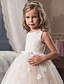 cheap Girls&#039; Dresses-Kids Little Girls&#039; Dress Floral Tulle Dress Party Holiday Mesh Lace Print White Pink Beige Cotton Maxi Sleeveless Vintage Sweet Dresses Fall Spring Regular Fit