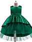 cheap Girls&#039; Dresses-Kids Little Girls&#039; Dress Solid Colored Party Birthday Party Layered Mesh Train Blue Blushing Pink Wine Asymmetrical Sleeveless Princess Cute Dresses All Seasons Children&#039;s Day Slim 3-10 Years