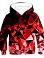 cheap Boys&#039; Hoodies &amp; Sweatshirts-Boys&#039; 3D Rainbow Print Hoodie &amp; Sweatshirt