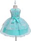 cheap Girls&#039; Dresses-Kids Little Dress Girls&#039; Floral Solid Colored Party Wedding Birthday Tulle Dress Embroidered Green Blue Pink Knee-length Lace Sleeveless Princess Dresses Fall Spring Children&#039;s Day Slim 1-5 Years