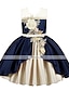 preiswerte Kleider für Mädchen-kinderkleidung Mädchen Kleid Einfarbig Ärmellos mit Schnürung Schleife Aktiv Süß Polyester Knielang Kleid mit Blumenstickerei Rote Marineblau Purpur