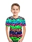 billige T-skjorter og skjorter til gutter-Gutt 3D Fargeblokk Regnbue 3D Print T skjorte Kortermet 3D-utskrift Sommer Sport Gatemote Grunnleggende Polyester Barn 3-12 år utendørs Daglig
