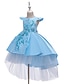 preiswerte Kleider für Mädchen-Kinder Wenig Mädchen Kleid Solide Spitze Blau Gelb Rosa Midi Kurzarm Aktiv Süß Kleider Silvester Schlank