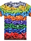 abordables T-shirts et chemises pour garçons-Garçon 3D Bloc de couleur à imprimé arc-en-ciel 3D Print T-shirt Manche Courte 3D effet Eté Sportif Vêtement de rue basique Polyester Enfants 3-12 ans Extérieur du quotidien