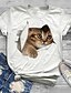 preiswerte Tops in Übergröße-Damen Übergröße Oberteile T-Shirt Katze Grafik Kurzarm Bedruckt Rundhalsausschnitt Baumwoll-Spandex-Trikot Täglich Festtage Blau Schwarz