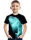 baratos Camisetas Para Meninos-Infantil Para Meninos Camisa Camiseta Dinossauro Manga Curta Digital Animal Impressão 3D Azul Verde Tropa Cinzento Crianças Blusas Ativo Básico Legal Verão Casual Roupa Diária 3-12 anos