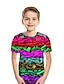 cheap Boys&#039; Tees &amp; Blouses-Boys 3D Color Block Rainbow Optical Illusion T shirt Short Sleeve 3D Print Summer Sports Streetwear Basic Polyester Kids 3-12 Years Outdoor Daily