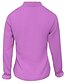 abordables Tops &amp; Blouses-Mujer Camisa Blusa Color sólido Morado Rosa Morado Manga Larga Trabajo Ropa Cotidiana Básico Escote Redondo Ajuste regular Primavera Otoño