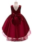 cheap Girls&#039; Dresses-Kids Little Girls&#039; Dress Solid Colored Party Birthday Party Layered Mesh Train Blue Blushing Pink Wine Asymmetrical Sleeveless Princess Cute Dresses All Seasons Children&#039;s Day Slim 3-10 Years