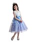 cheap Girls&#039; Dresses-Kids Little Dress Girls&#039; Solid Colored Party Bow Print Blue Pink Yellow Above Knee Sleeveless Princess Dresses Slim 3-10 Years