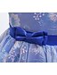 cheap Girls&#039; Dresses-Kids Little Dress Girls&#039; Floral Solid Colored Party Wedding Birthday Tulle Dress Embroidered Green Blue Pink Knee-length Lace Sleeveless Princess Dresses Fall Spring Children&#039;s Day Slim 1-5 Years