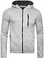 cheap Best Sellers-Men&#039;s Solid Color Full Zip Hoodie Zipper Daily Fitness Basic Thin fleece Hoodies Sweatshirts  Blue Gray Dark Grey