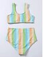 abordables Bikini-Mujer Bikini 2 piezas Traje de baño Control de barriga Relleno Bloques Amarillo Rosa Verde Trébol Bañadores Acolchado Cuello Alto Trajes de baño nuevo Casual Sensual / Sujetador Acolchado / Playa