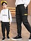 abordables Pantalons pour Garçons-Enfants Garçon Pantalons Kaki Noir Avec poches Couleur Pleine Logo Lettre Ecole Décontractée Usage quotidien Coton basique Décontractée Sportif 4-13 ans / L&#039;autume / Printemps