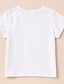 billige T-skjorter og skjorter til gutter-Gutt 3D Grafisk Bokstaver T skjorte T-skjorte Kortermet Sommer Grunnleggende Bomull Barn Dagligdagstøy
