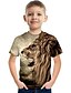 cheap Boys&#039; Tees &amp; Blouses-Kids Boys&#039; T shirt Tee Short Sleeve Rainbow 3D Print Unisex 3D Print Graphic Active 3-12 Years / Summer