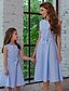 preiswerte New Arrivals-Mama und ich Kleid Gestreift Schleife Leicht Blau Midi Ärmellos Grundlegend Passende Outfits / Sommer