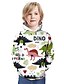 cheap Boys&#039; Tees &amp; Blouses-Boys 3D Animal Cartoon Hoodie &amp; Sweatshirt Long Sleeve 3D Print Summer Active Polyester Kids 3-13 Years Daily Wear Regular Fit