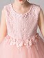 cheap Girls&#039; Dresses-Girls&#039; Embroidered Floral Princess Party Dress