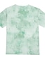 cheap Girls&#039; Tees &amp; Blouses-Kids Girls&#039; T shirt Short Sleeve Light Green 3D Print Cat Print Floral Animal Daily Wear Active 4-12 Years / Summer