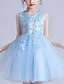 cheap Girls&#039; Dresses-Girls&#039; Navy Blue Sequin Embroidery Flower Dress