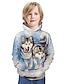 cheap Boys&#039; Tees &amp; Blouses-Boys 3D Animal Hoodie &amp; Sweatshirt Long Sleeve 3D Print Summer Active Polyester Kids 3-13 Years Daily Wear Regular Fit