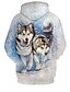 cheap Boys&#039; Tees &amp; Blouses-Boys 3D Animal Hoodie &amp; Sweatshirt Long Sleeve 3D Print Summer Active Polyester Kids 3-13 Years Daily Wear Regular Fit