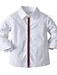 cheap Polos-Toddler Boys&#039; Shirt Long Sleeve Solid Colored Crewneck White Children Tops Spring &amp;  Fall Casual / Daily Daily Wear Vacation Loose 1-5 Years