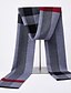 preiswerte Schals &amp; Bandanas-Damen Schals für Damen Kamel Grau Hellgrau Party Alltagskleidung Normal Schal Gestreift / Grundlegend / Herbst / Winter / Unisex / Polyester