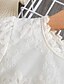 cheap Girls&#039; Dresses-Kids Little Dress Girls&#039; Solid Colored Tulle Dress Lace Blue White Knee-length Long Sleeve Cute Dresses Spring Summer Slim
