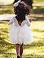preiswerte Kleider für Babys-Kinder Baby Wenig Kleid Mädchen Blume Tüll-Kleid Spitze Gitter Rückenfrei Weiß Schwarz Purpur Asymmetrisch 3/4 Ärmel nette Art Kleider Regular Fit