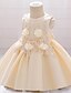 cheap Girls&#039; Dresses-Kids&#039; Cute Jacquard Sleeveless Party Dress