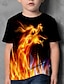 cheap Boys&#039; Tees &amp; Blouses-Boys&#039; Fire Dragon 3D Print T Shirt