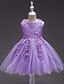 cheap Girls&#039; Dresses-Chinoiserie Tulle Dress for Toddler Girls