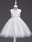 cheap Girls&#039; Dresses-Chinoiserie Tulle Dress for Toddler Girls